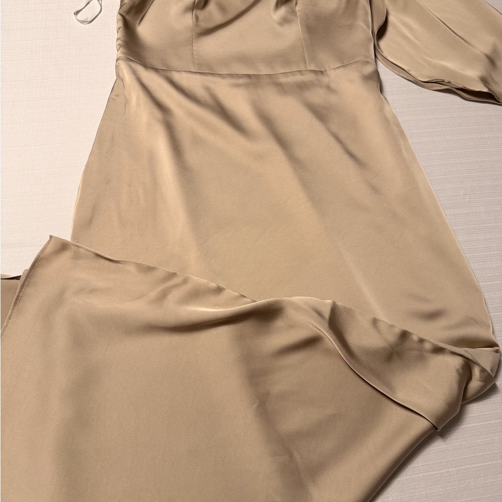 Birdy Grey One-Shoulder Satin Gown in Champagne Beige - Picture 3 of 16